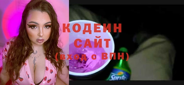 крисы Ельня