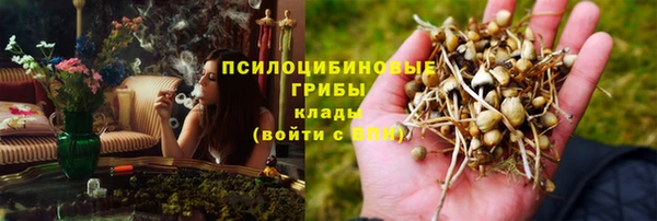 трава Дмитров